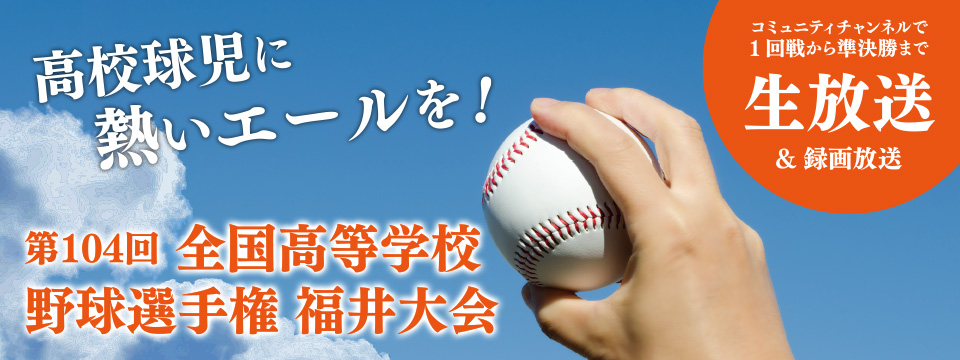 全国高等学校野球選手権 福井大会